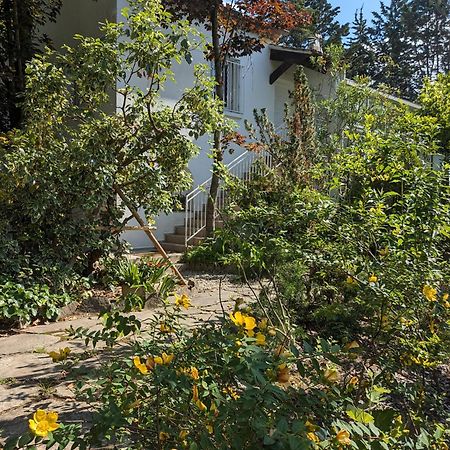Maison Spacieuse Et Lumineuse 4 Personnes Lavilledieu  Экстерьер фото
