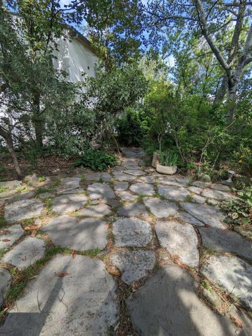 Maison Spacieuse Et Lumineuse 4 Personnes Lavilledieu  Экстерьер фото