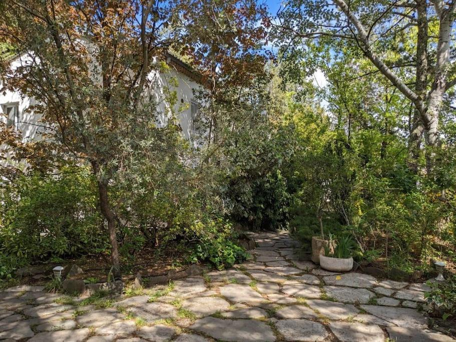 Maison Spacieuse Et Lumineuse 4 Personnes Lavilledieu  Экстерьер фото
