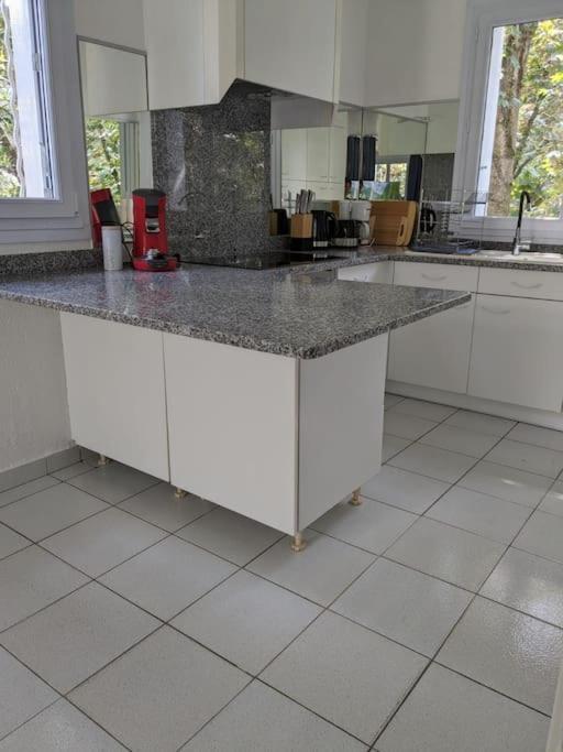 Maison Spacieuse Et Lumineuse 4 Personnes Lavilledieu  Экстерьер фото
