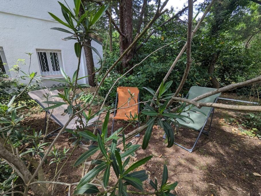 Maison Spacieuse Et Lumineuse 4 Personnes Lavilledieu  Экстерьер фото